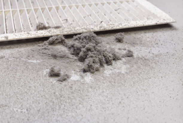 Best Ductwork Cleaning Services  in Troy, TX