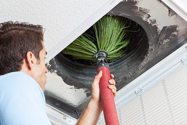 Best Local Air Duct Cleaning Services  in Troy, TX
